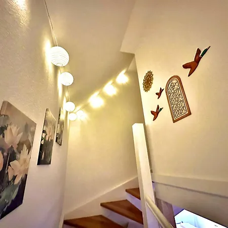 Bialy Lotos - Cisza I Natura Blisko Plazy I Centrum 펜션 웨바